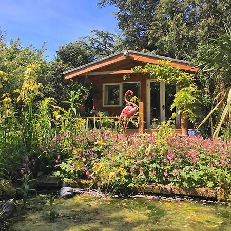 Ward Avenue B&B Cowes  Exteriör bild