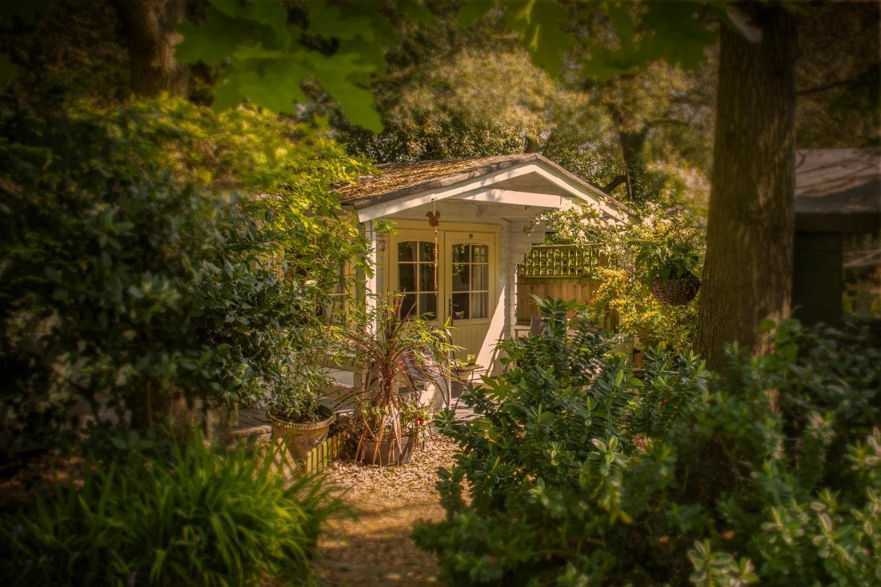 Ward Avenue B&B Cowes  Exteriör bild