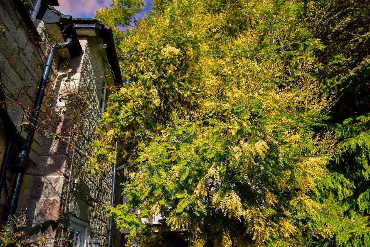 Ward Avenue B&B Cowes  Exteriör bild